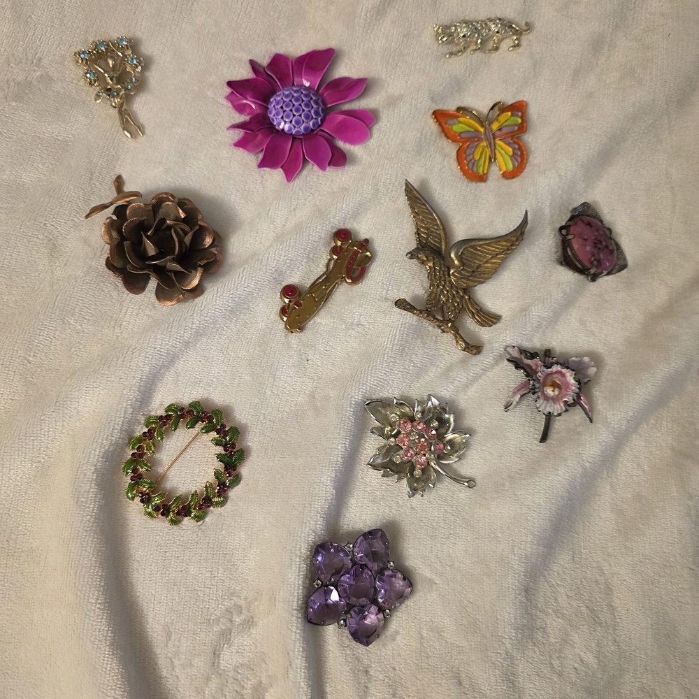 Elegant Assorted Brooch Set Vintage